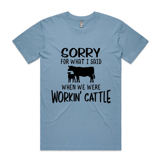 Hayco Men's Sorry for What I said When we were Workin' Cattle